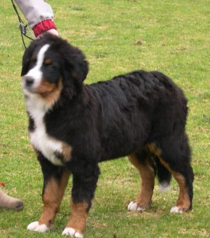 Oona